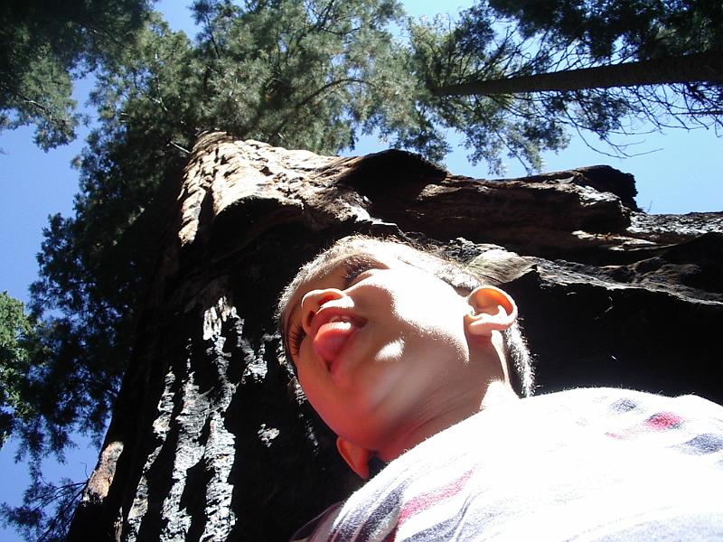 Picture 087.jpg